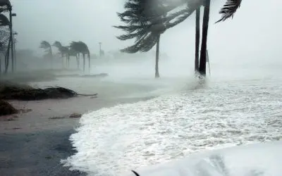 5 Ways to Protect Your Home from Wind Damage
