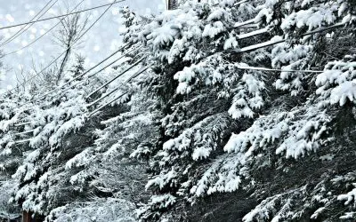 7 Tips to Help You Prepare for a Power Outage