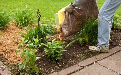 7 Tips for Exterior Spring Cleaning