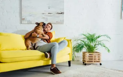 Cleaning Tips for Pet Owners: Keeping Your Home Fresh