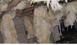 Batt Insulation