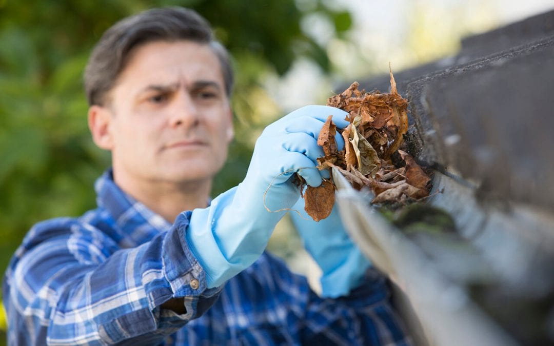 clean the gutters