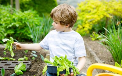 7 Tips for Gardening With Children