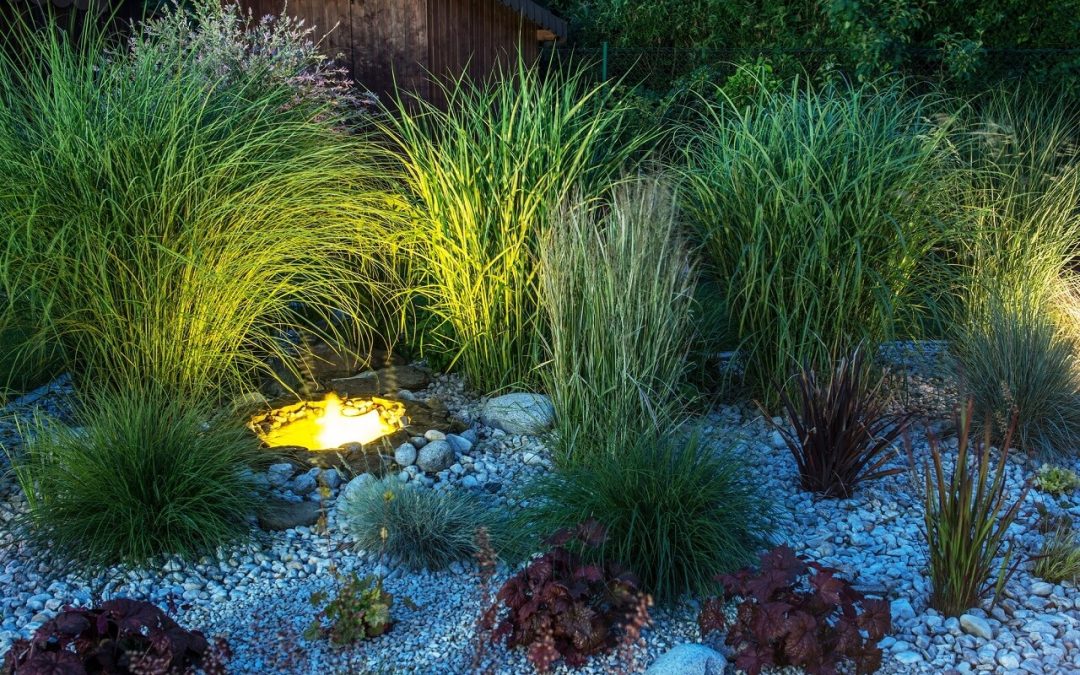 Low-Maintenance Landscaping Tips